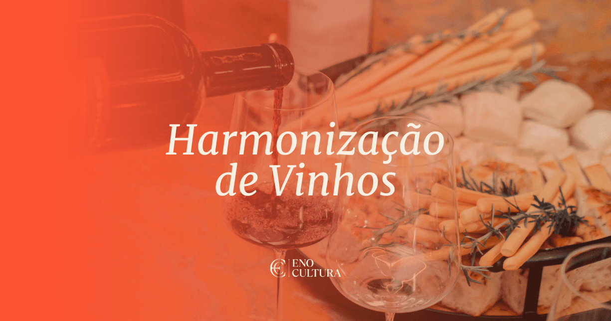 Harmonização de Vinhos: Guia Básico pra Não Errar